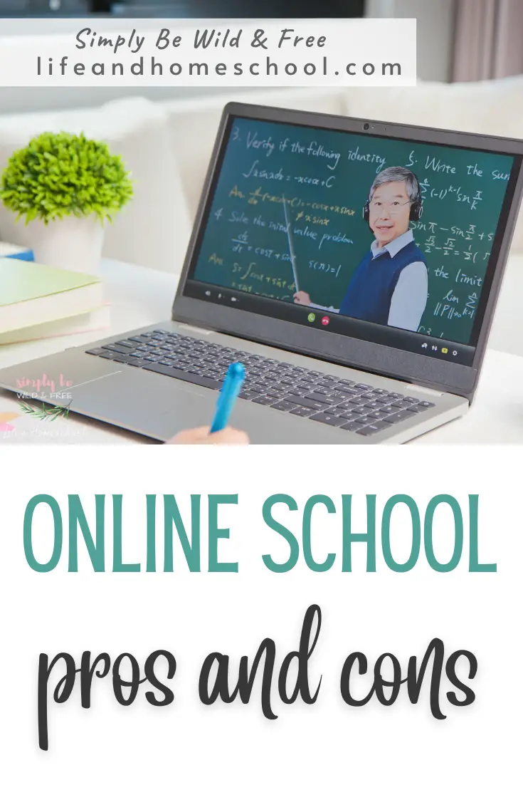 Online School Pros and Cons