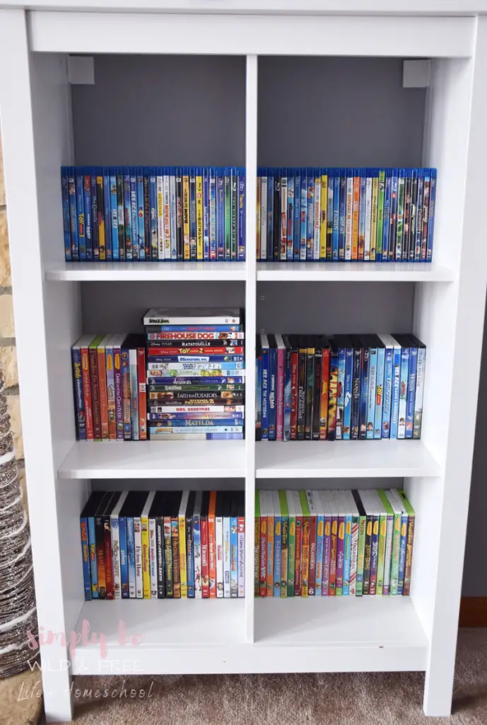 Before Our DVD Organization Solution