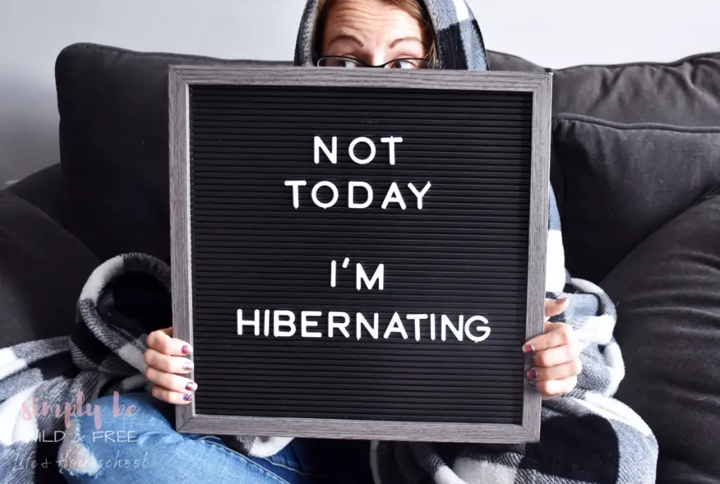 Summer Tips for Introverted Homeschool Moms - Not today I'm hibernating letterboard