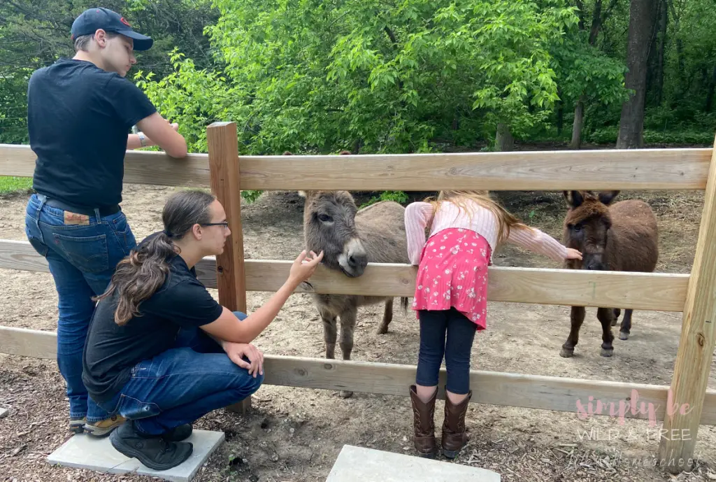 Taking a Homeschool Field Trips is a Fun Way to Celebrate Back to School