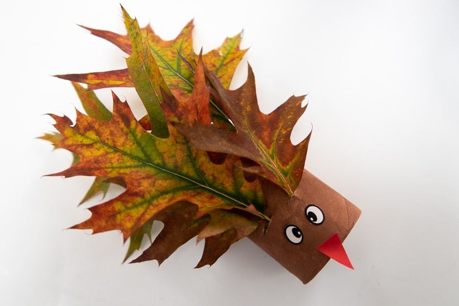 Cute Fall Crafts for Kids