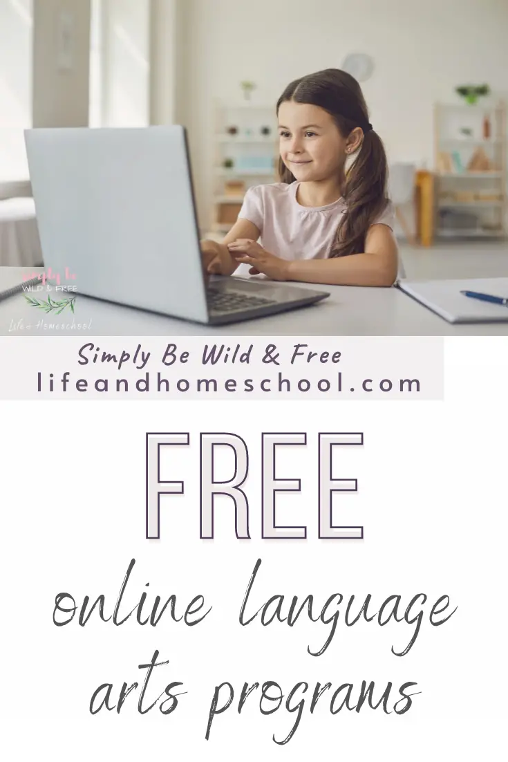 homeschool-phonics-homeschool-phonics-kindergarten-reading-teaching