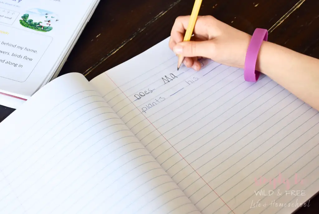 Simple Sentence Dictation Notebook Ideas