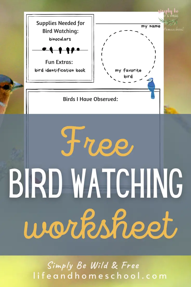 Bird Watching Activity Sheet