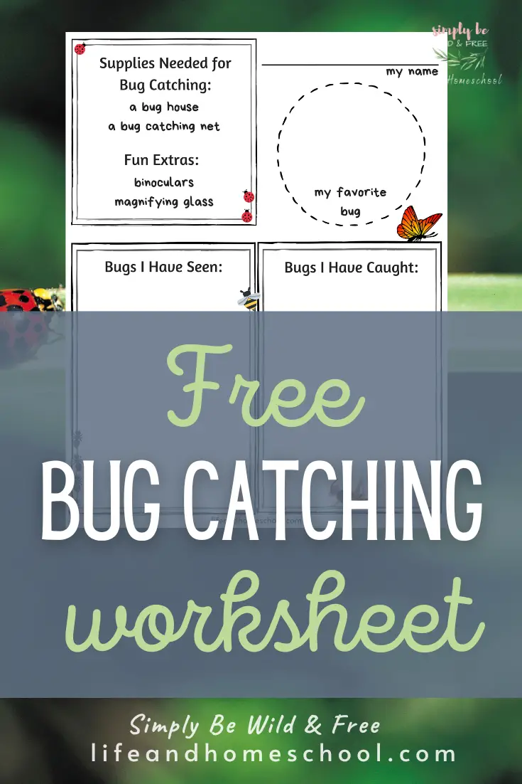 Bug Catching Activity Sheet