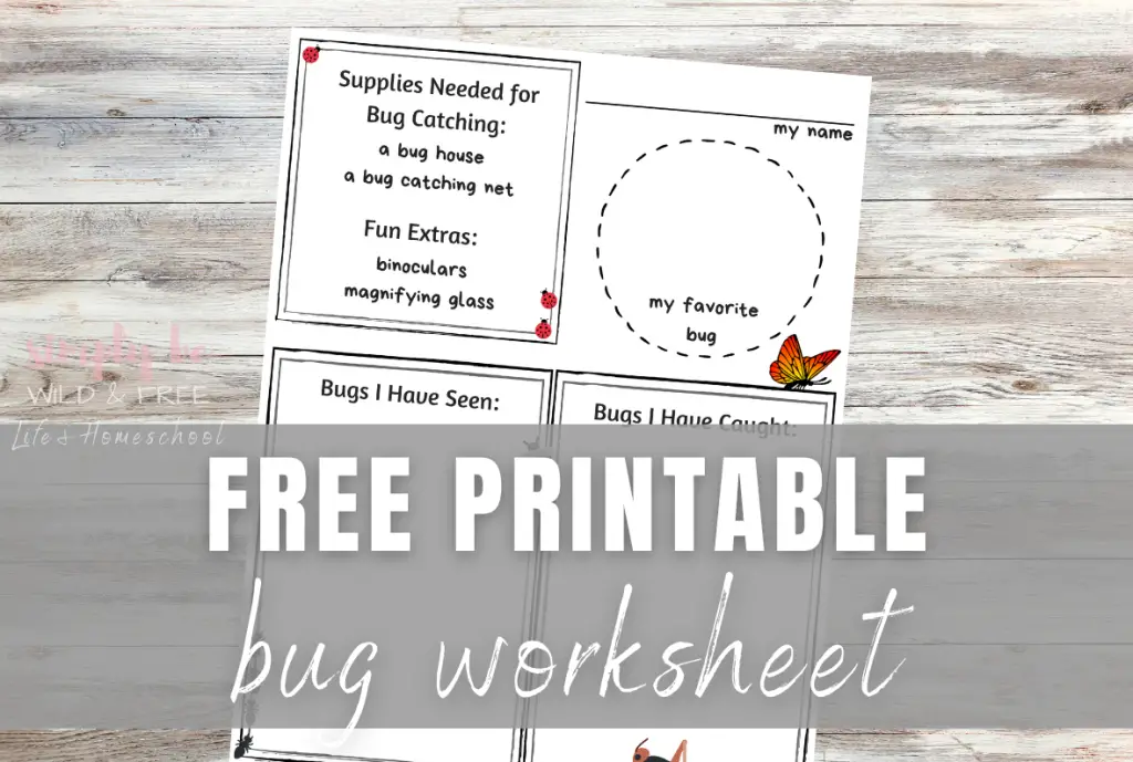 Free Printable Bug Worksheet for Kids
