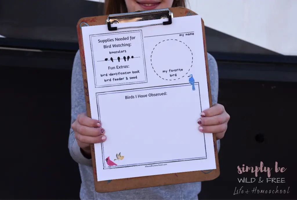 Fun Bird Watching Worksheet for Kids