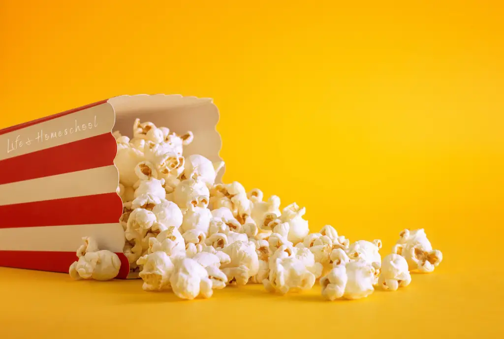 Host a Family Movie Night for Summer