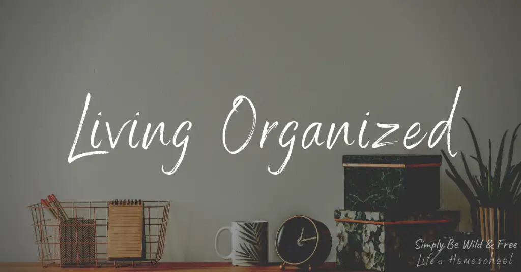 Organization Tips - Living and Organized Life