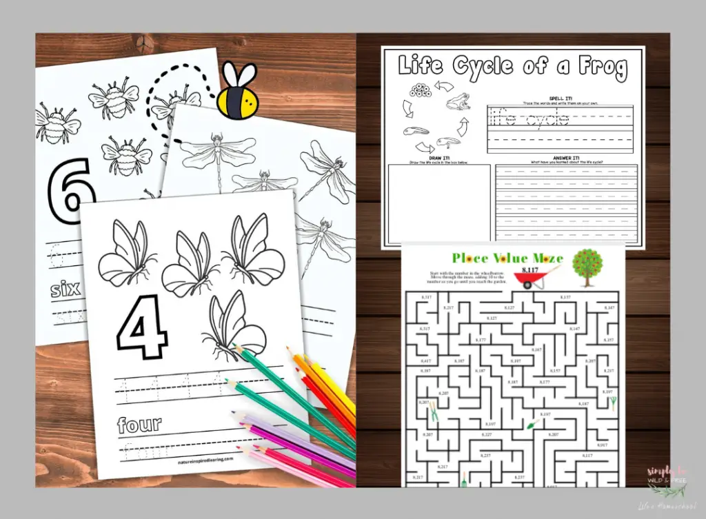 Core Subject Worksheets for Kids