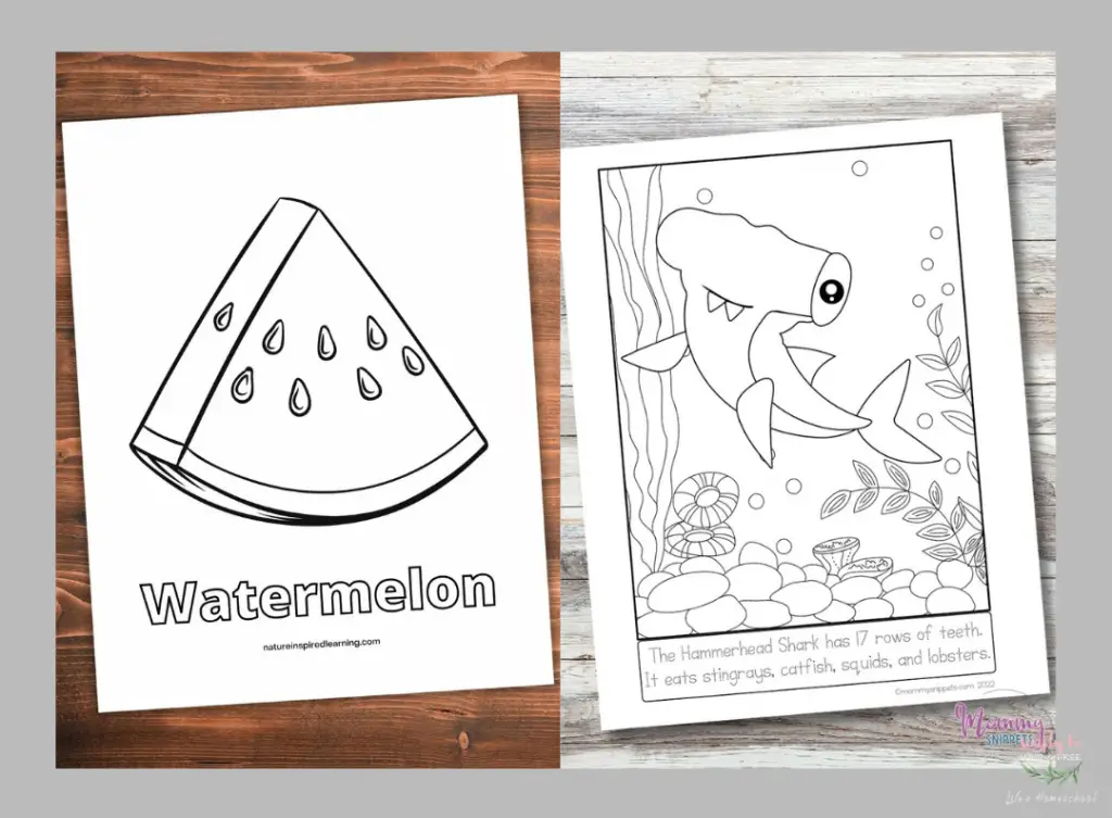 Cute Coloring Sheets for Summer