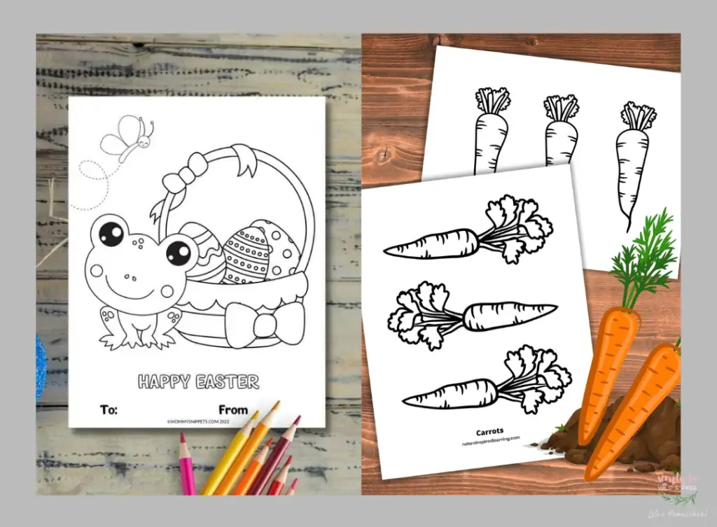 Free Coloring Sheets - Cute Frog & Carrots