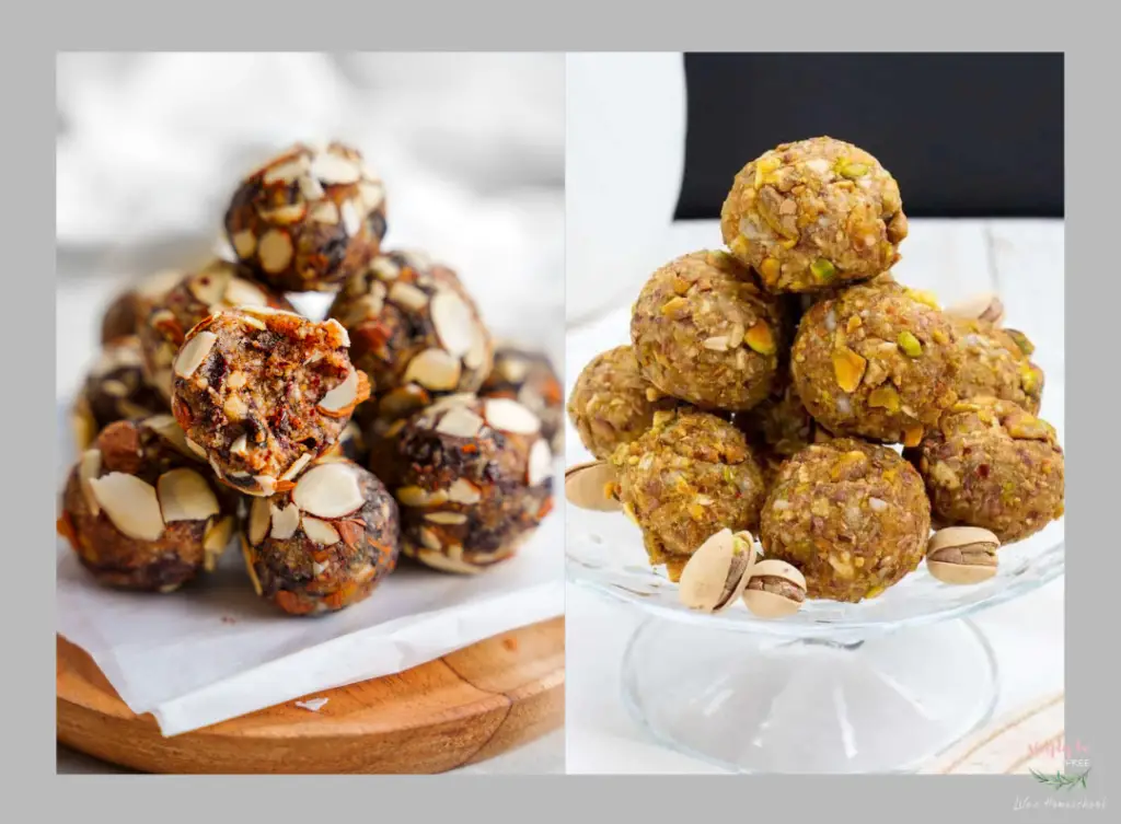 Healthy Energy Bites Snack Recipes