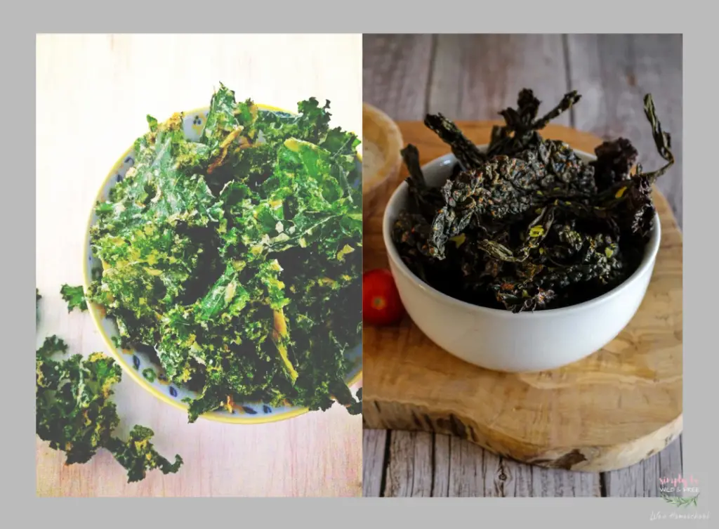 Healthy Kale Chips Recipes
