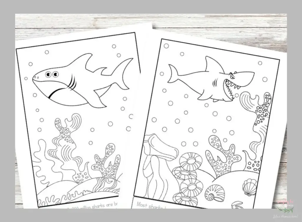 Printable Shark Coloring Sheets for Kids