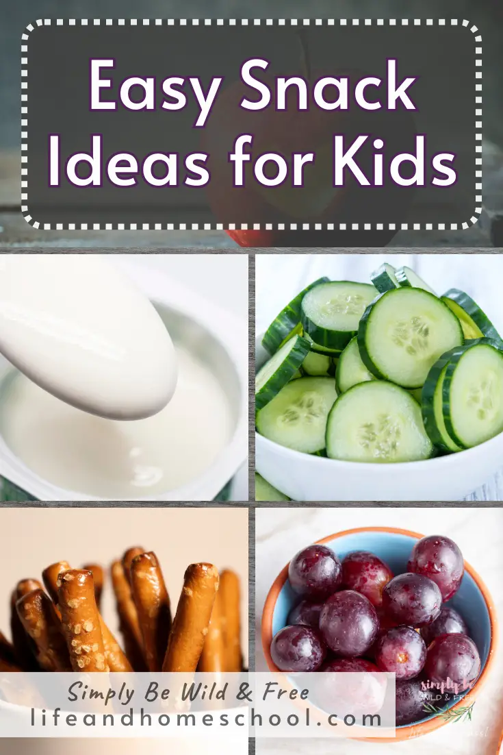 Snack Ideas for Kids