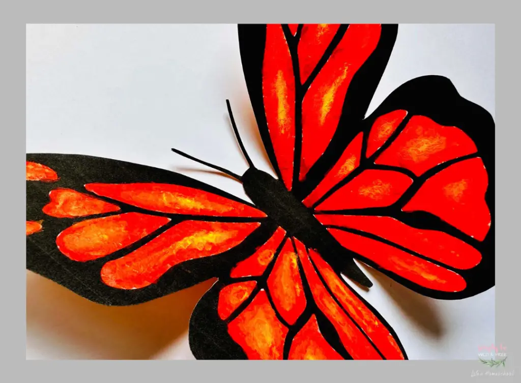 Butterfly Craft Ideas