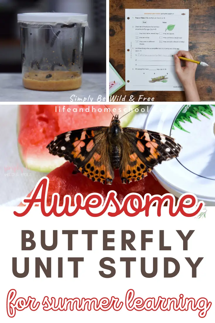 Butterfly Unit Study