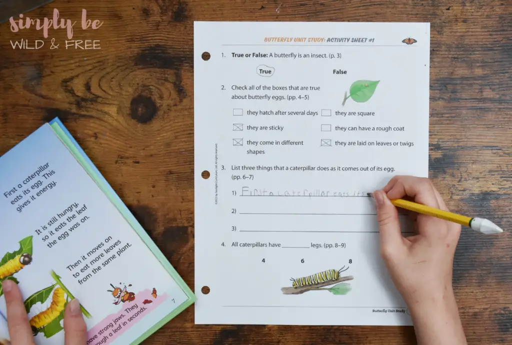 Butterfly Worksheets for Kids