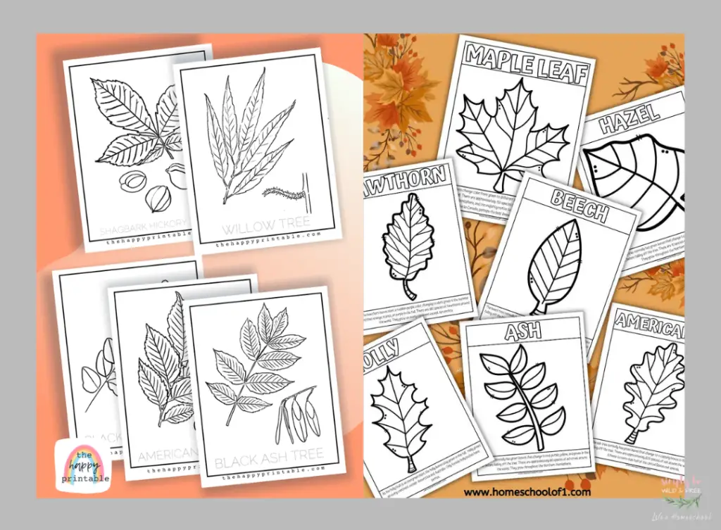 LEAF Themed Nature Coloring Pages