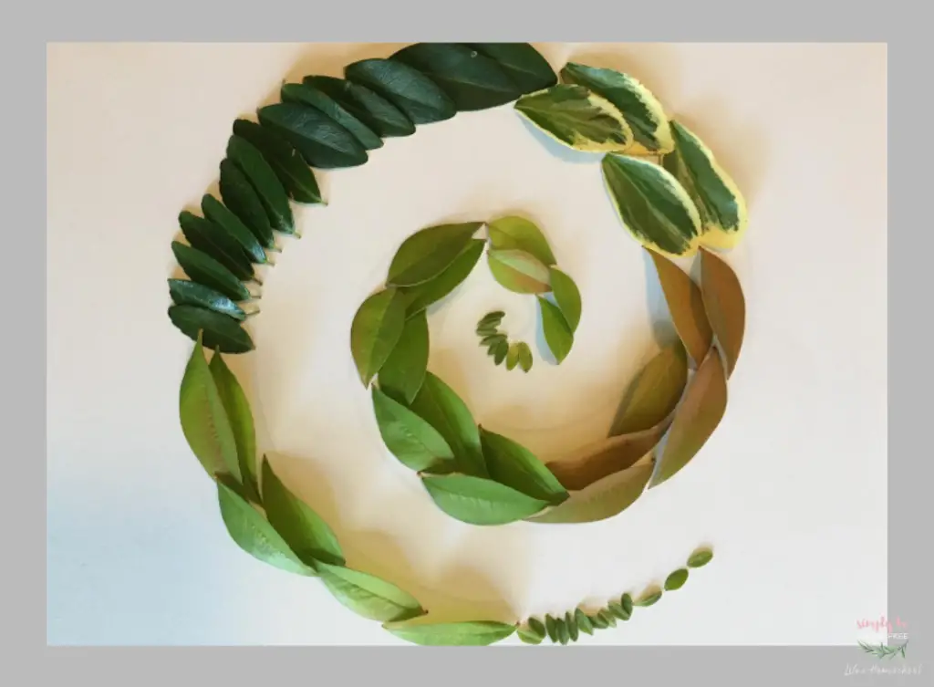 Leaf Art Project