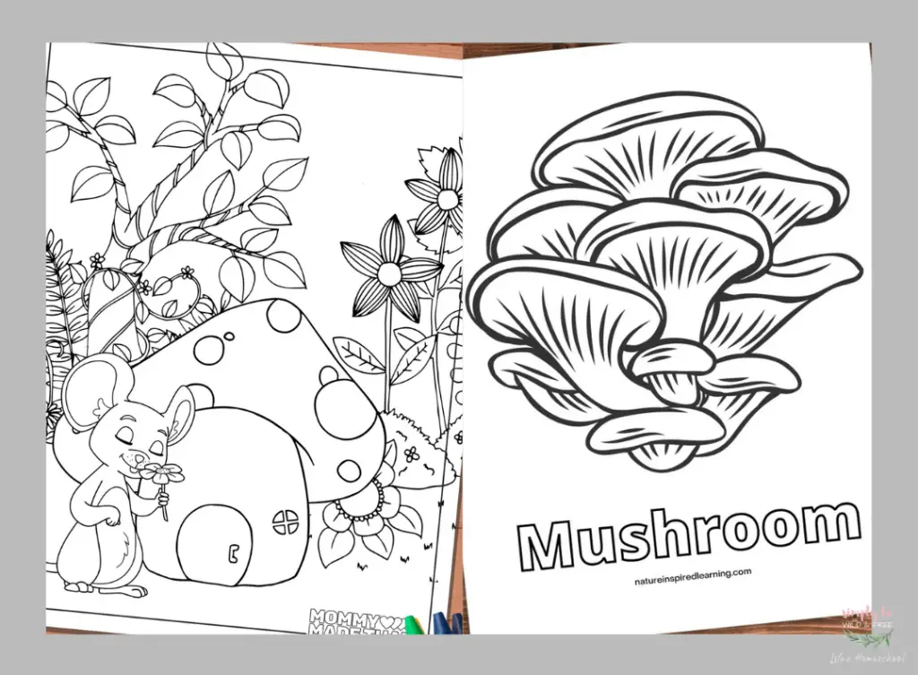Mushroom Coloring Sheets for Kids