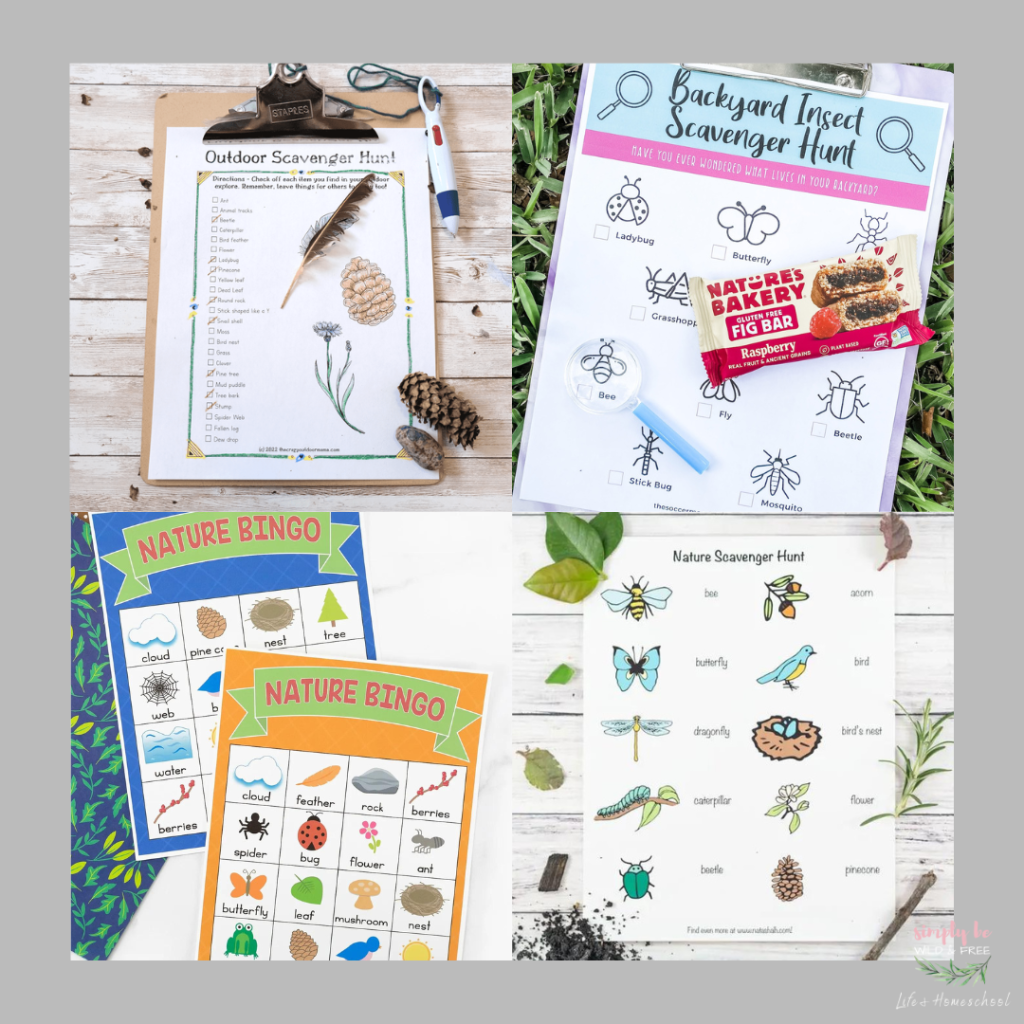 Nature Scavenger Hunt Printables for Kids