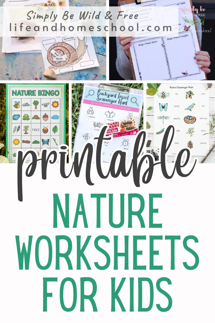 Nature Activity Sheets