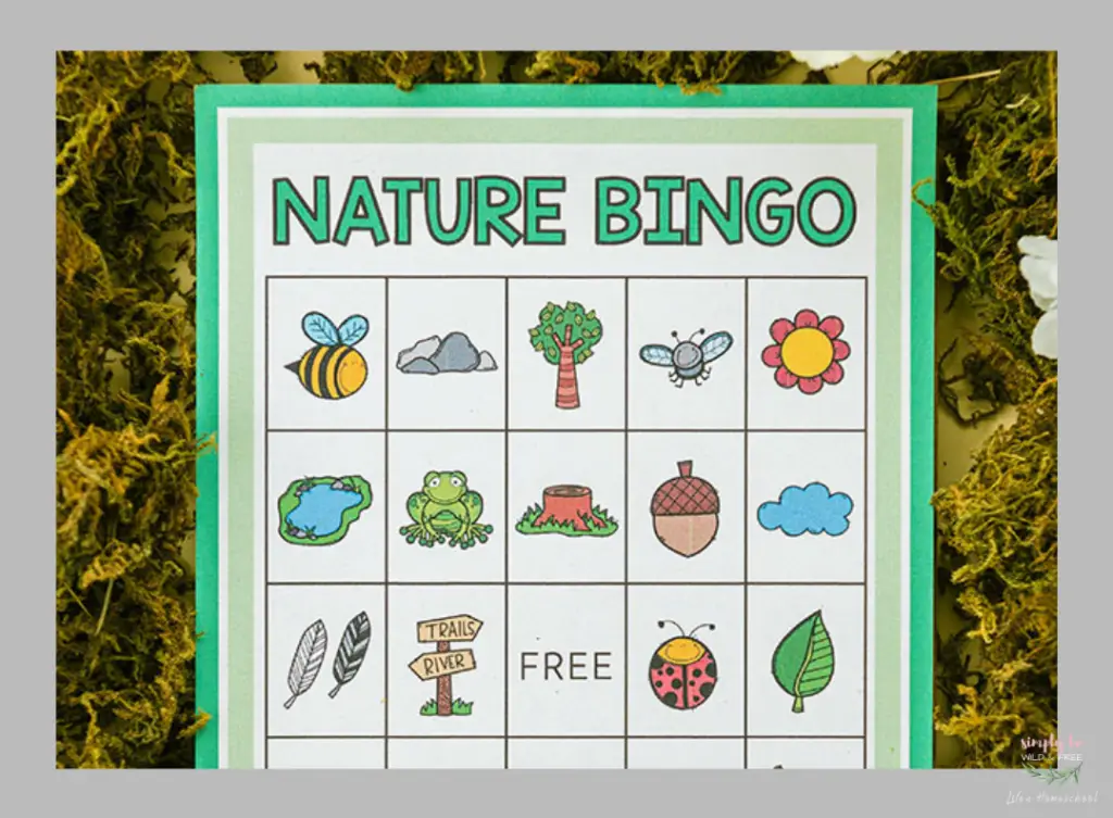 Printable Nature BINGO