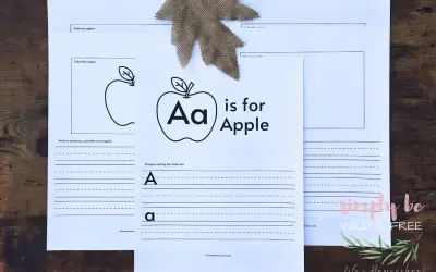 Printable Apple Worksheets