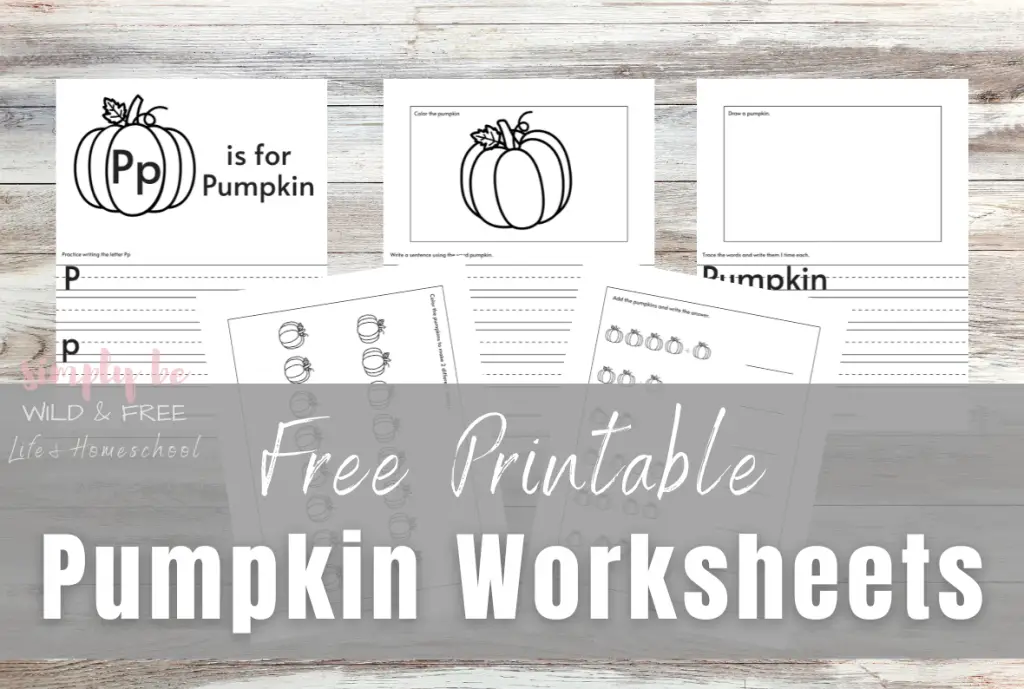 Free Printable Pumpkin Worksheets