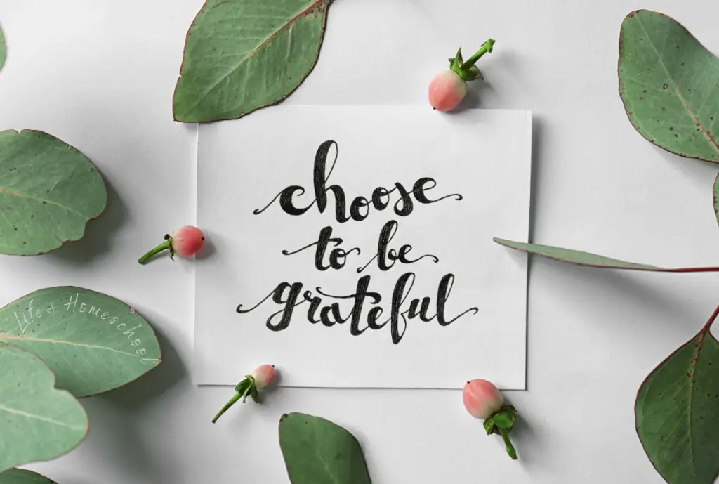 Choose to be Grateful