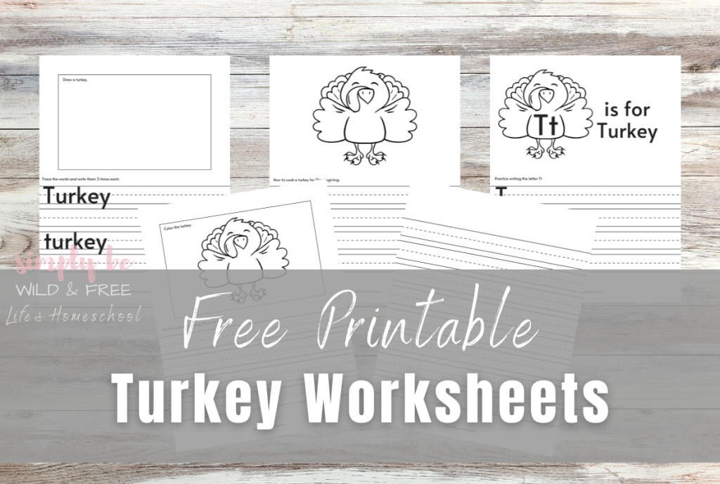 Free Printable Turkey Worksheets