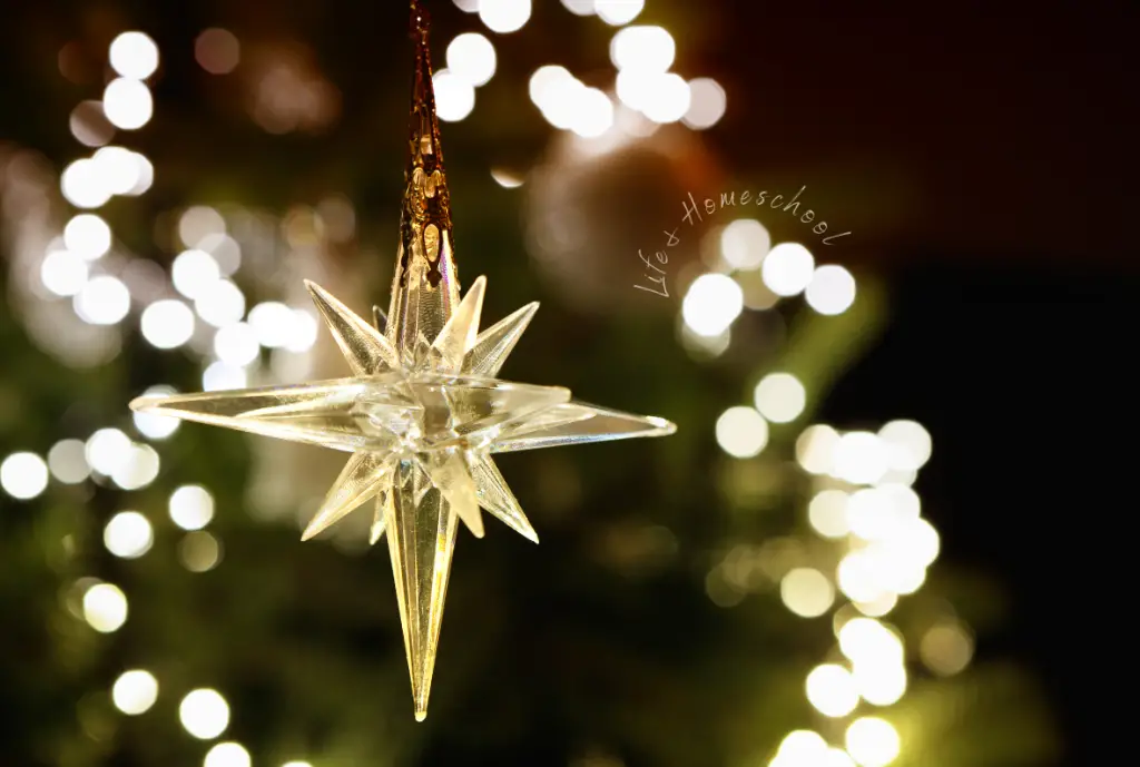 Beautiful Glass Christmas Star