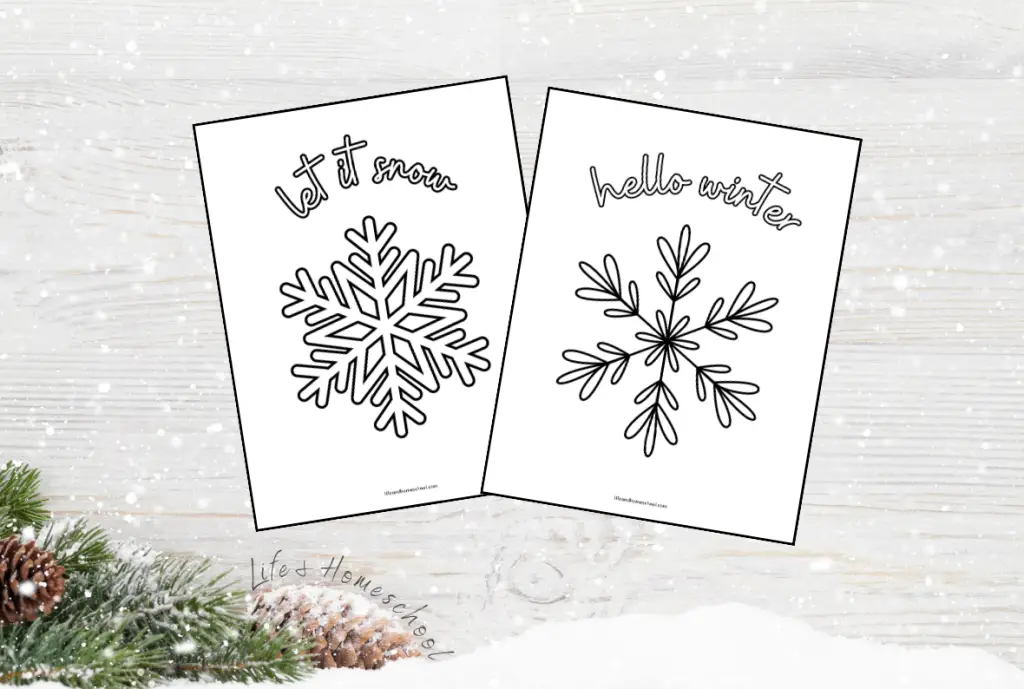 Snowflake Coloring Pages for All Ages