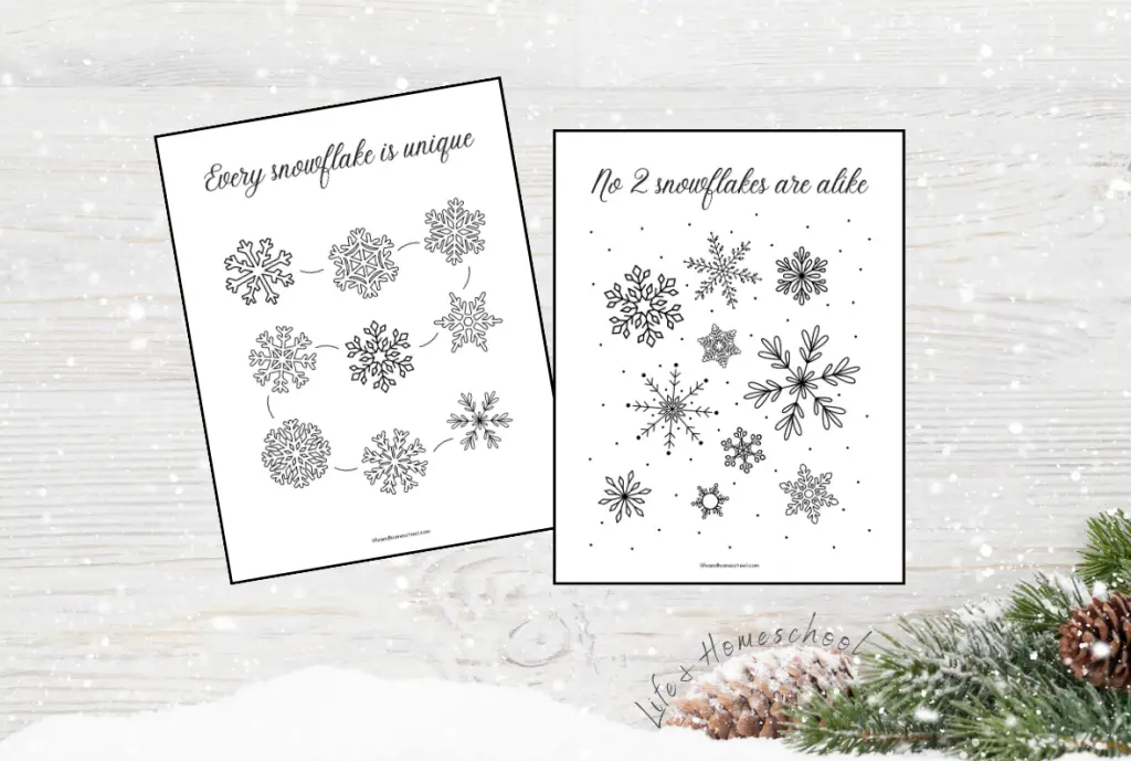 Snowflake Coloring Pages for Big Kids