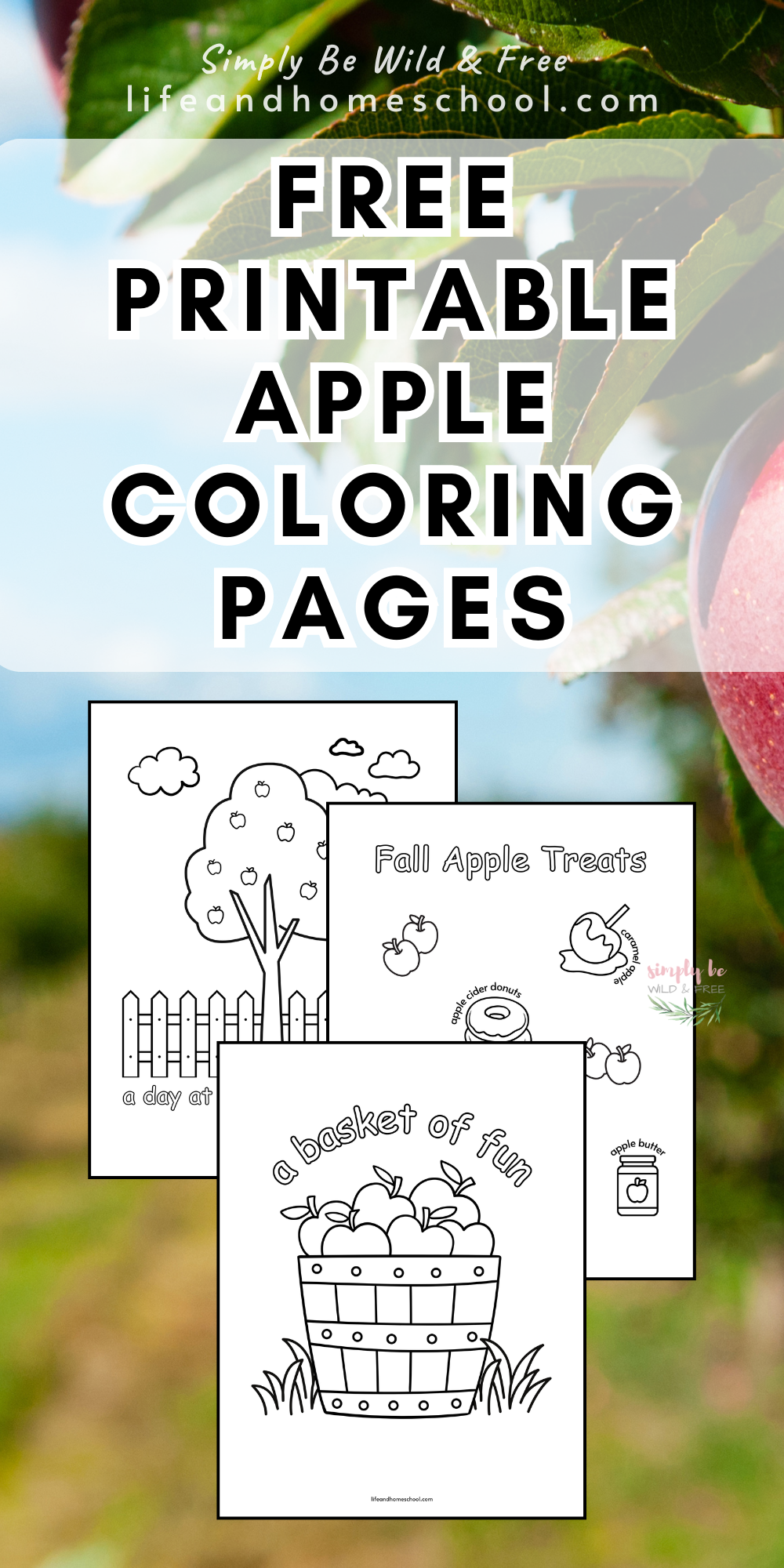 Apple Coloring Pages